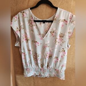 Express Light Blue Floral V-Neck Blouse with Pink Roses